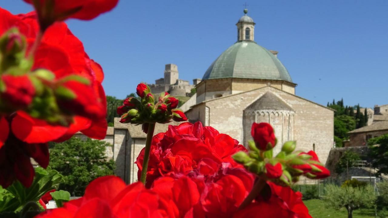 Hotel Ideale Assisi Esterno foto